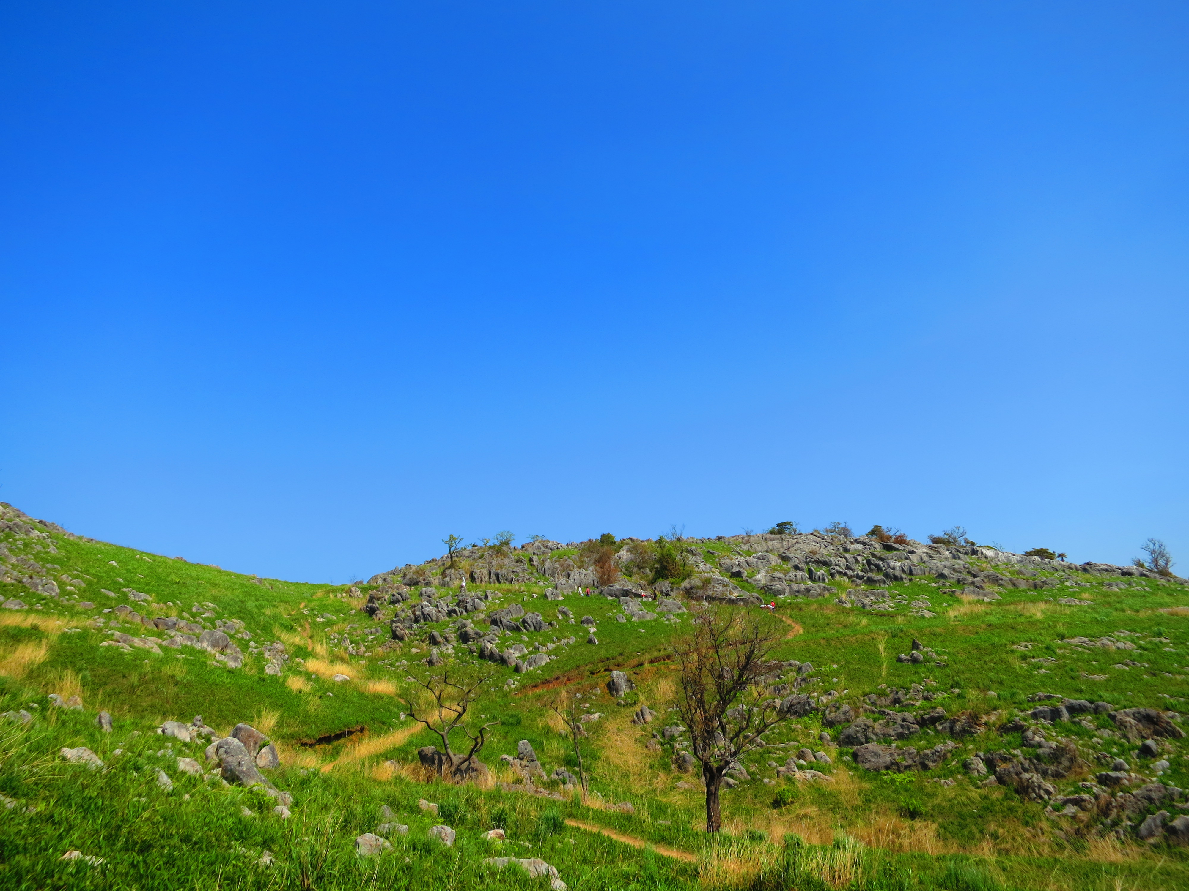 平尾台の写真　撮影者：Foto-Avenue